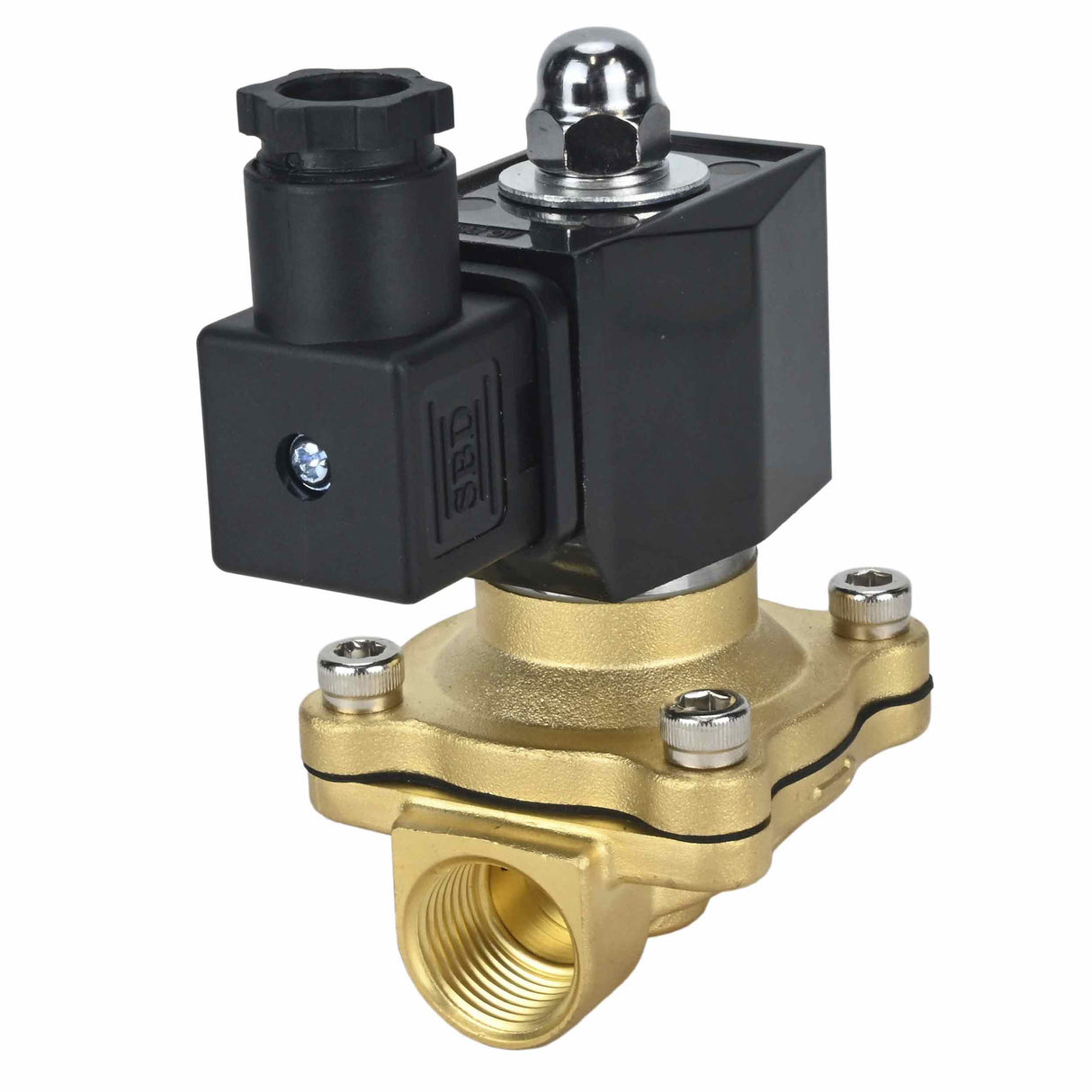 Électrovanne électrique à action directe à deux voies normalement fermée Elephant VS2W-300E-NC EPDM 24V, matériau du corps - laiton, joint - EPDM