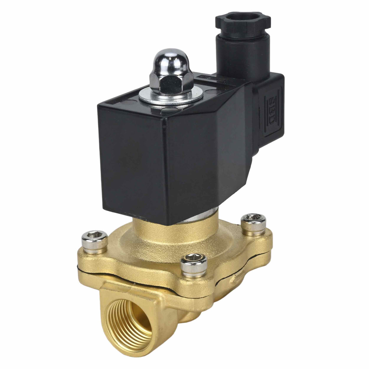 Électrovanne électrique à action directe à deux voies normalement fermée Elephant VS2W-300E-NC EPDM 24V, matériau du corps - laiton, joint - EPDM