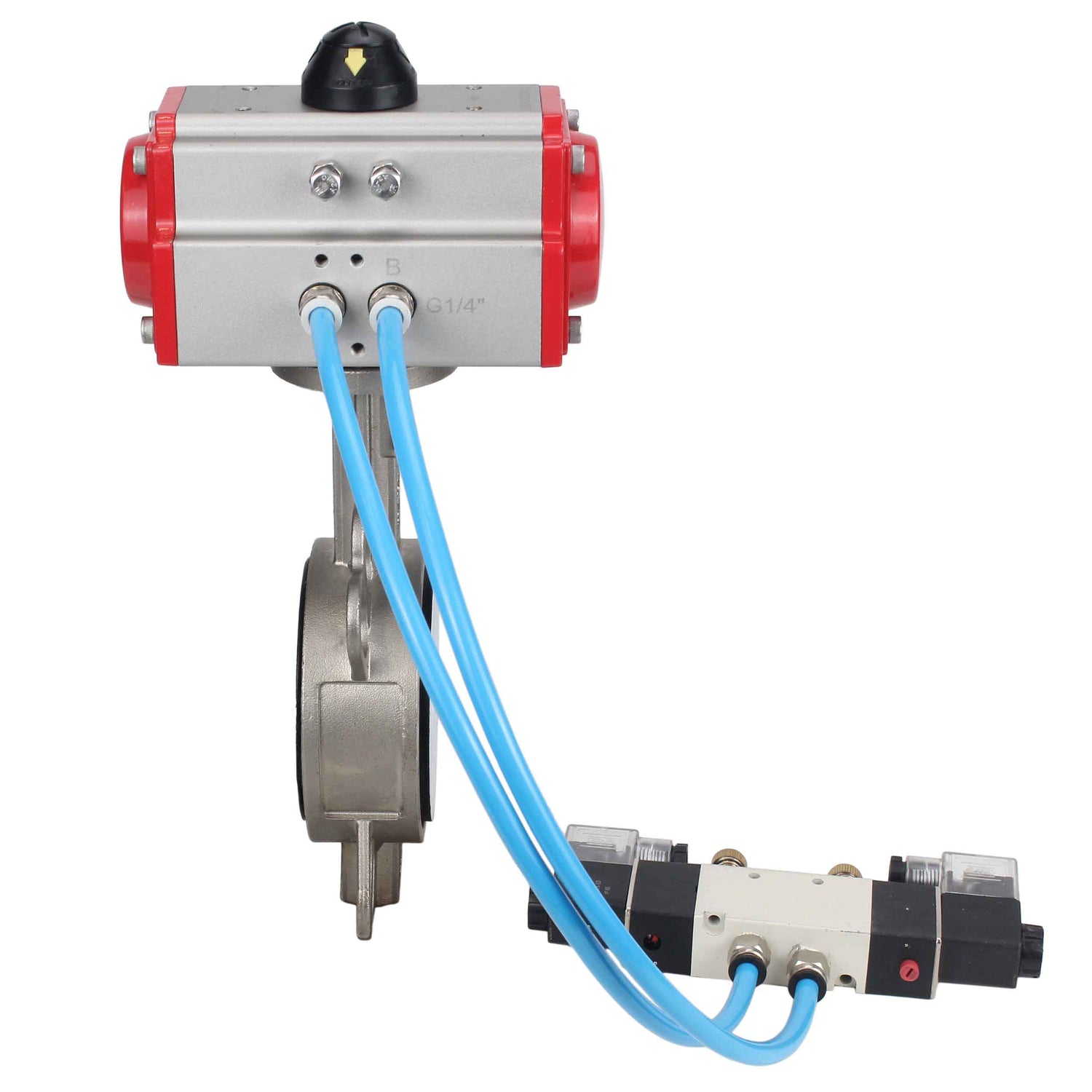 Vanne papillon d'eau Elephant WBV3131P-2W-Fb-H, matériau du corps - Acier inoxydable AISI 304, matériau du disque - Acier inoxydable AISI 304, joint - PTFE, actionneur pneumatique PA-DA double action, 4V320-10 220V