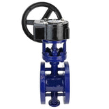 Vanne papillon d'eau Elephant WBV3EX-3432M-1W-F-ISO, matériau du corps - Acier au carbone, matériau du disque - Acier inoxydable AISI 316, joint - Métal, réducteur RDN RQN