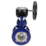 Vanne papillon d'eau Elephant WBV3EX-3432M-1W-F-ISO, matériau du corps - Acier au carbone, matériau du disque - Acier inoxydable AISI 316, joint - Métal, réducteur RDN RQN