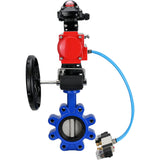 Vanne papillon d'eau Elephant WBV1631N-2W-Fb-H, matériau du corps - fonte QT450, matériau du disque - acier inoxydable AISI 304, joint - NBR, actionneur pneumatique PA-DA double action, 4V320-08 220V, BKV APL-210N, volant MON