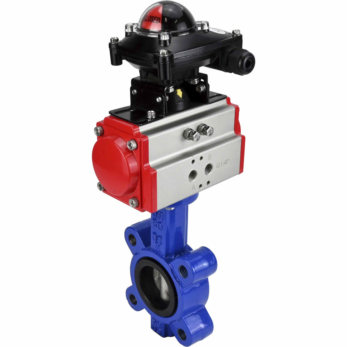 Vanne papillon d'eau Elephant WBV1631N-2W-Fb-H, matériau du corps - fonte QT450, matériau du disque - acier inoxydable AISI 304, joint - NBR, avec actionneur pneumatique double effet PA-DA, BKV APL-210N