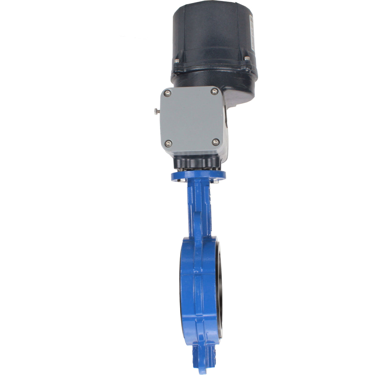 Butterfly valves for abrasive media Elephant WBV1632E-2W-Fb-H interflanged, body - cast iron QT450, disc - stainless steel 316L, seal - EPDM, with electric quarter turn actuator Elephant QTSA-N-EM-O0-220VAC