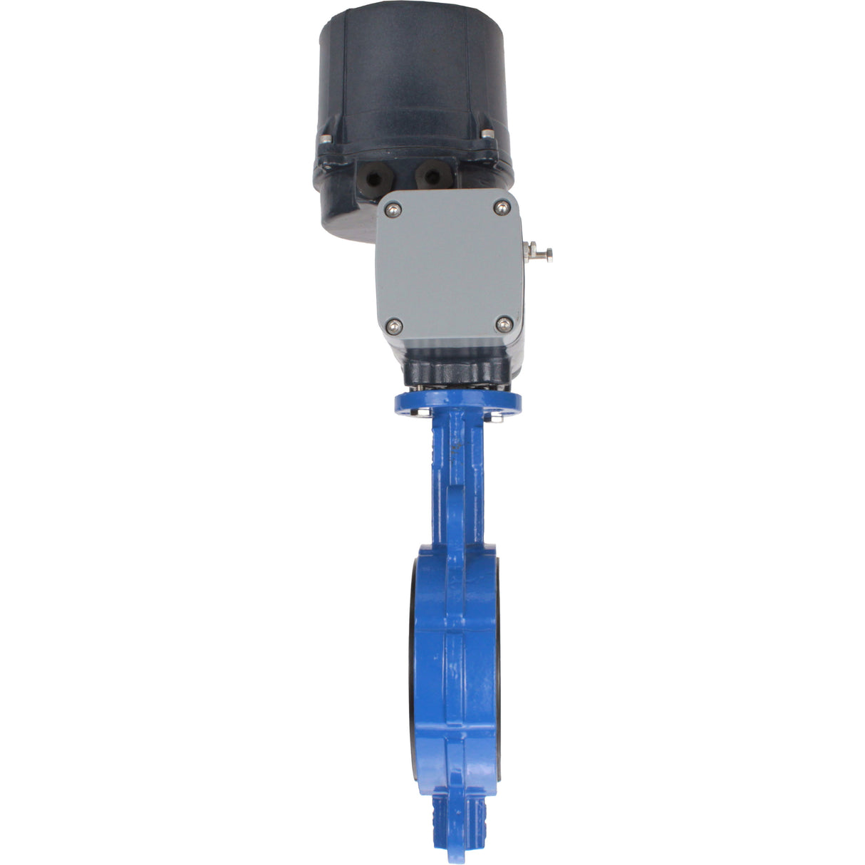 Butterfly valves for abrasive media Elephant WBV1632E-2W-Fb-H interflanged, body - cast iron QT450, disc - stainless steel 316L, seal - EPDM, with electric quarter turn actuator Elephant QTSA-N-EM-O0-220VAC