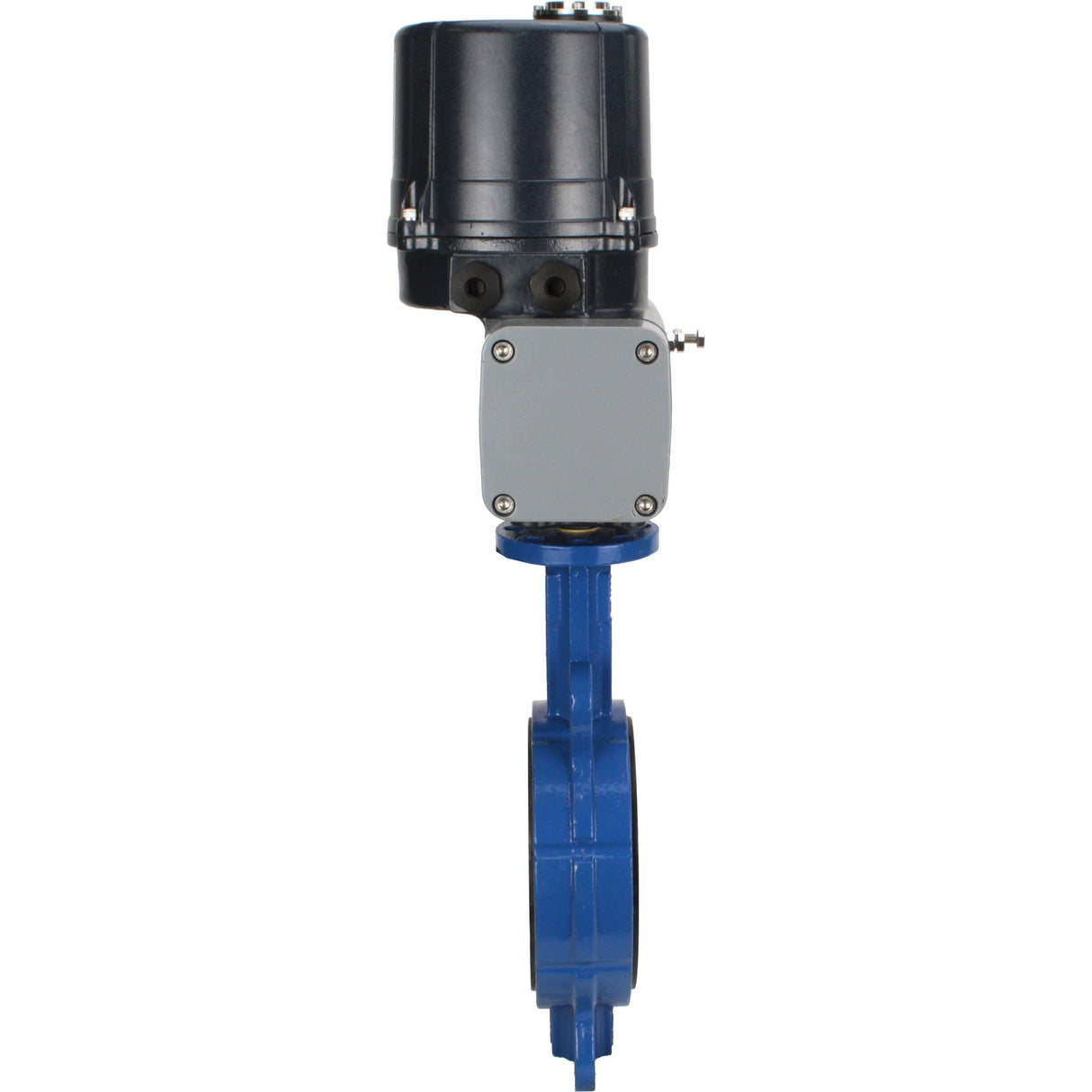 Butterfly valves Elephant WBV3432V-2W-Fb-H interflanged, body - WCB carbon steel, disc - stainless steel 316L, seal - Viton, with electric quarter turn actuator Elephant QTSA-N-EM-O0-220VAC