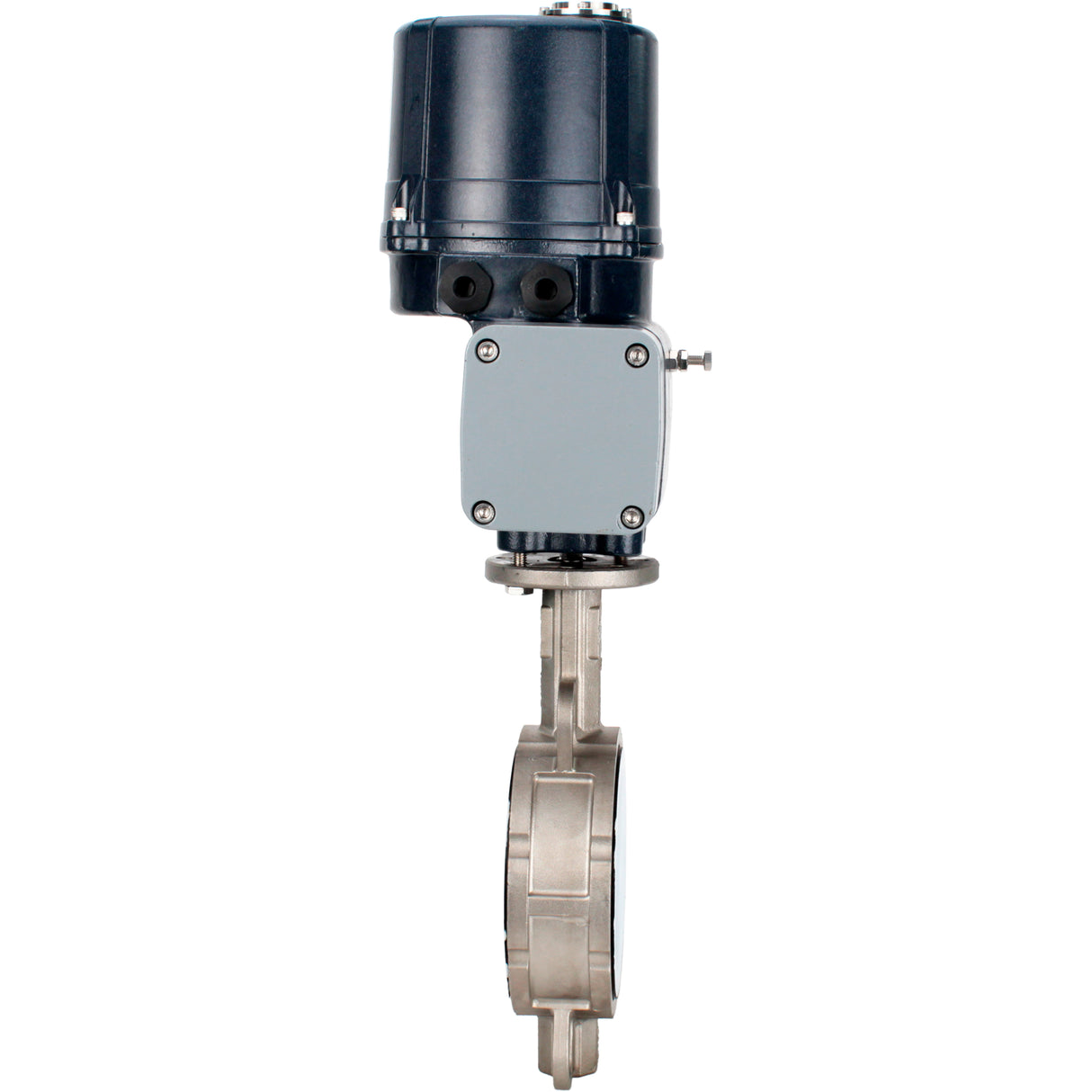 Butterfly valves Elephant WBV3232P-2W-Fb-H interflanged, body - stainless steel AISI 316L, disc - stainless steel 316L, seal - PTFE, with electric quarter turn actuator Elephant QTSA-N-EM-O0-220VAC