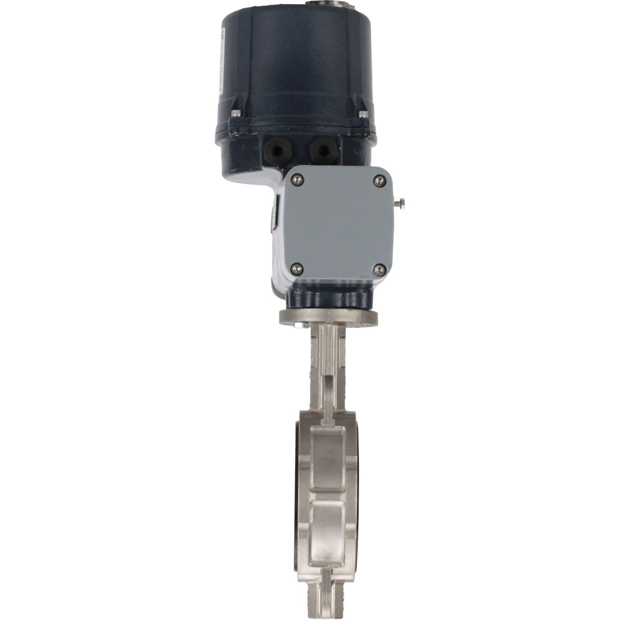 Butterfly valves Elephant WBV3232E-2W-Fb-H interflanged, body - stainless steel AISI 316L, disc - stainless steel 316L, seal - EPDM, with electric quarter turn actuator Elephant QTSA-N-EM-O0-220VAC