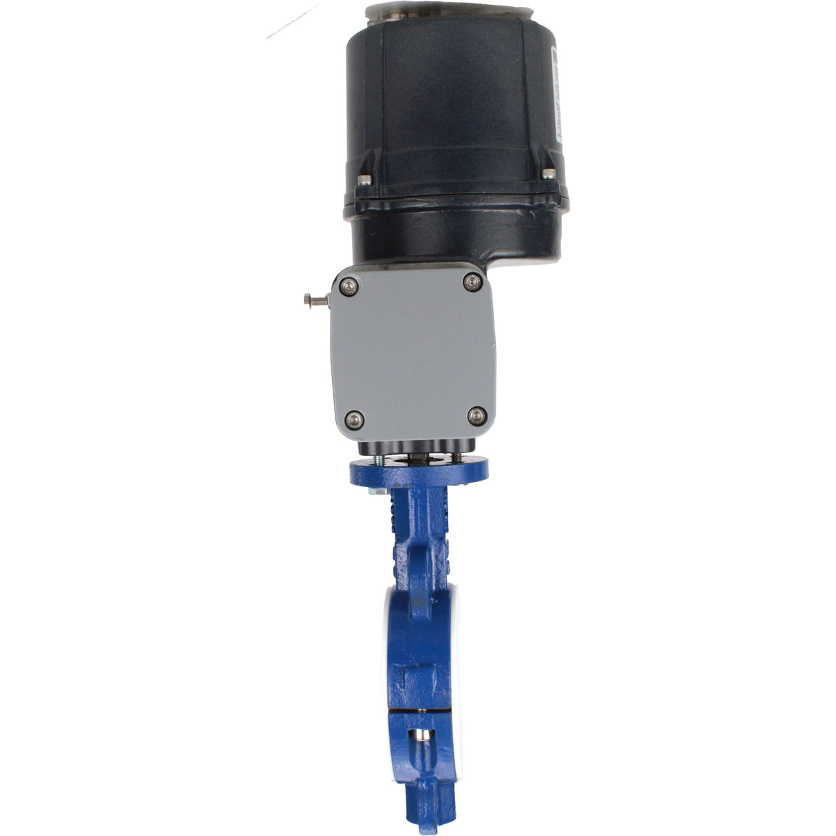 Butterfly valves Elephant WBV3434Pf-2W-Fb-H lined interflanged, body - carbon steel WCB, disc - carbon steel WCB, seal - PTFE, with electric quarter turn actuator Elephant QTSA-N-EM-O0-220VAC