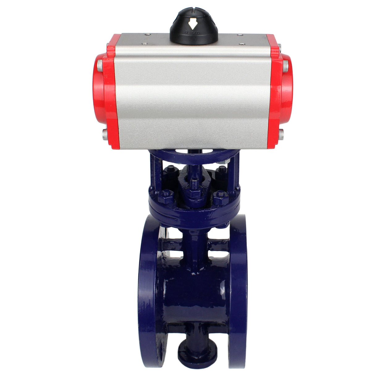 Vanne papillon d'eau Elephant WBV3EX-3432M-1W-F-ISO, matériau du corps - Acier au carbone, matériau du disque - Acier inoxydable AISI 316, joint - Métal, actionneur pneumatique PA-SA avec ressorts de rappel, 4M310-08 24V