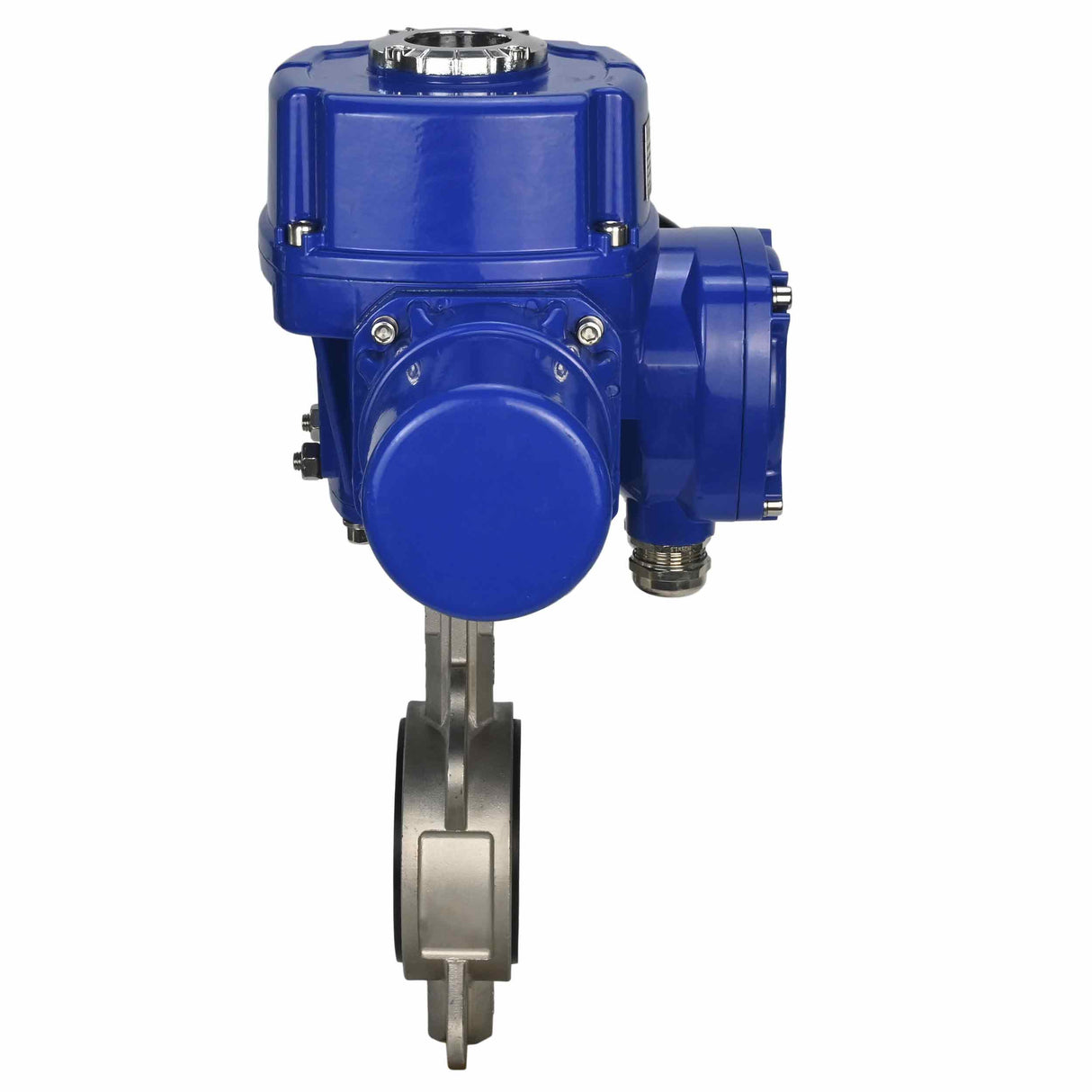 Vanne papillon d'eau Elephant 316l-316l-epdm-elephant-qt-wm-110/220v, matériau du corps - acier inoxydable AISI 316L, matériau du disque - acier inoxydable AISI 316L, joint - EPDM, actionné par actionneur électrique
