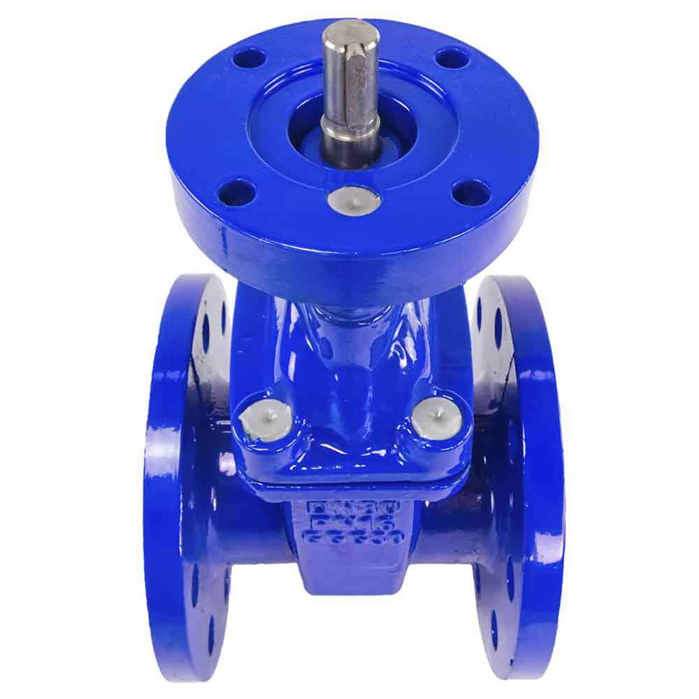 Vanne à opercule Elephant 30X939H GVWN1414E-2W-F BLUE PN10, matériau du corps - fonte GGG50, matériau de l'opercule - fonte + EPDM, joint - EPDM, tige uniquement