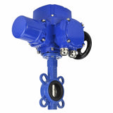 Vanne papillon d'eau Elephant WBV1332N-2W-Fb-H matériau du corps - Fonte GGG50, matériau du disque - Acier inoxydable 316L, joint - NBR avec actionneur électrique 1/4 de tour Elephant QT-W (M) EX 220V