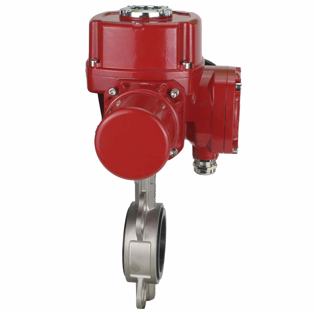 Vanne papillon d'eau Elephant 316l-316l-epdm-elephant-qt-wm-ex-110/220v, matériau du corps - acier inoxydable AISI 316L, matériau du disque - acier inoxydable AISI 316L, joint - EPDM, actionné par actionneur électrique