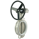 Vanne papillon d'eau Elephant 316L-PTFE-RDN, matériau du corps - acier inoxydable AISI 316L, matériau du disque - acier inoxydable AISI 316L, joint - PTFE, à engrenage