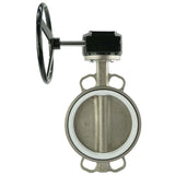 Vanne papillon d'eau Elephant 316L-PTFE-RDN, matériau du corps - acier inoxydable AISI 316L, matériau du disque - acier inoxydable AISI 316L, joint - PTFE, à engrenage