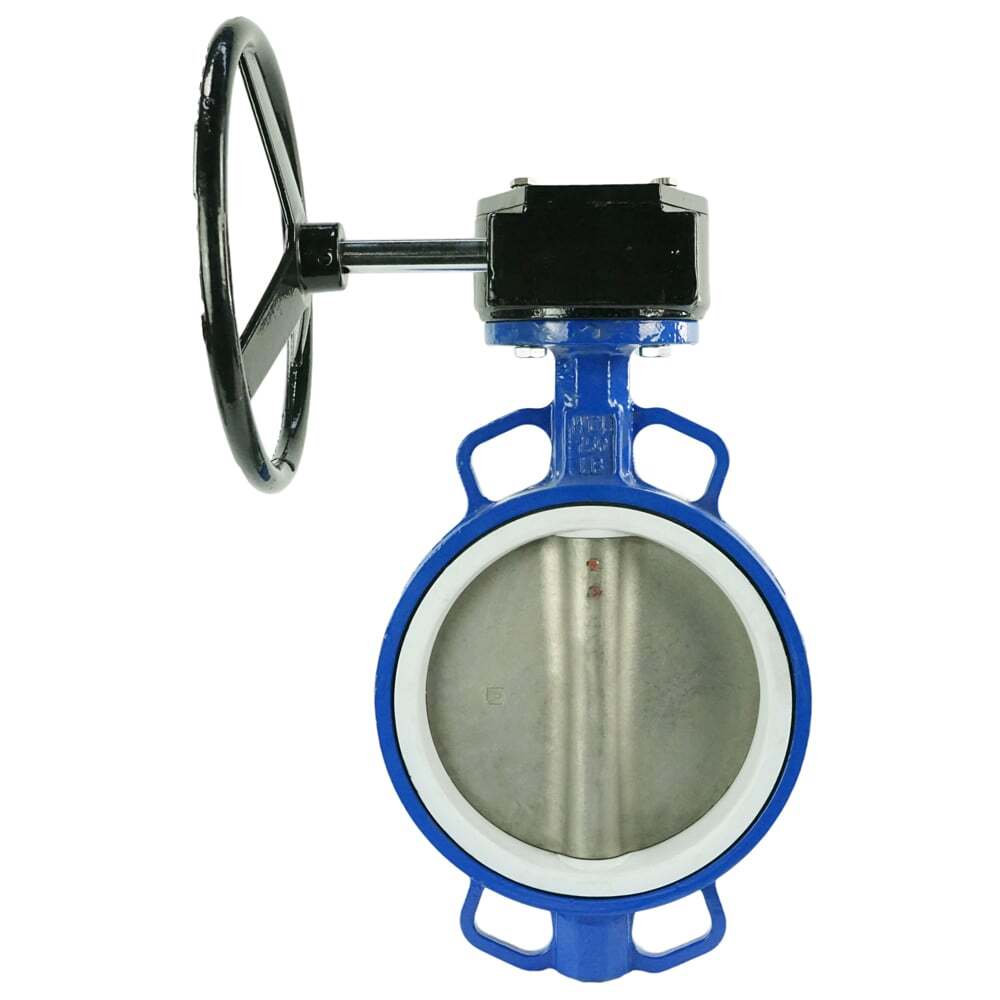 Vanne papillon d'eau Elephant WCB-316L-PTFE-RDN, matériau du corps - acier au carbone WCB, matériau du disque - acier inoxydable AISI 316L, joint - PTFE, à engrenage
