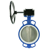 Vanne papillon d'eau Elephant WCB-316L-PTFE-RDN, matériau du corps - acier au carbone WCB, matériau du disque - acier inoxydable AISI 316L, joint - PTFE, à engrenage