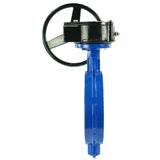 Vanne papillon d'eau Elephant WCB-316L-PTFE-RDN, matériau du corps - acier au carbone WCB, matériau du disque - acier inoxydable AISI 316L, joint - PTFE, à engrenage