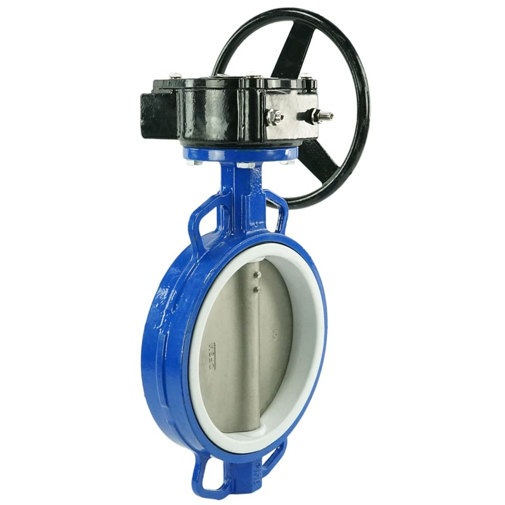Vanne papillon d'eau Elephant WCB-316L-PTFE-RDN, matériau du corps - acier au carbone WCB, matériau du disque - acier inoxydable AISI 316L, joint - PTFE, à engrenage