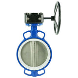 Vanne papillon d'eau Elephant WCB-316L-PTFE-RDN, matériau du corps - acier au carbone WCB, matériau du disque - acier inoxydable AISI 316L, joint - PTFE, à engrenage