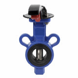 Vanne papillon d'eau Elephant WBV0232E-2W-Fb-H PN16, matériau du corps - alliage d'aluminium, matériau du disque - acier inoxydable 316L, joint - EPDM, commande par volant