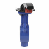 Vanne papillon d'eau Elephant WBV0232E-2W-Fb-H PN16, matériau du corps - alliage d'aluminium, matériau du disque - acier inoxydable 316L, joint - EPDM, commande par volant